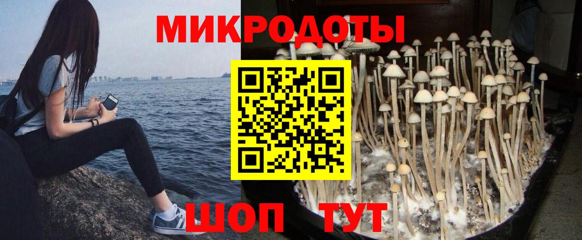 Галлюциногенные грибы мицелий  Вход с VPN  Анапа 